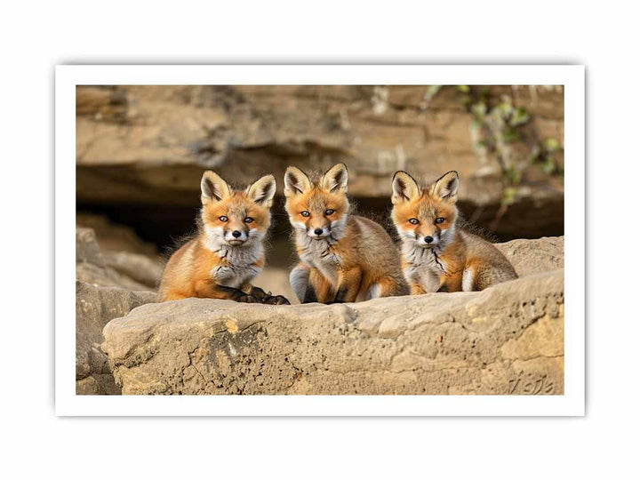 Three Red Fox Kits Art  framed Print