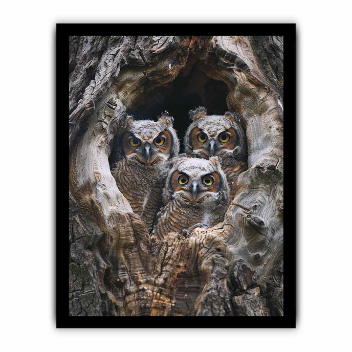 baby owls Art framed Print