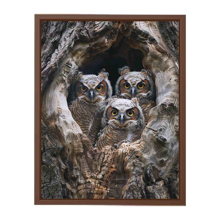 baby owls Art Painting