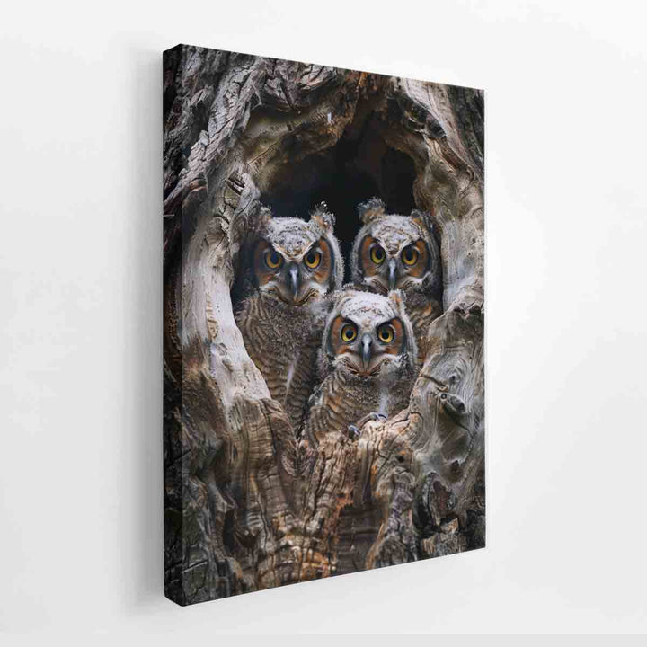 baby owls Art  canvas Print