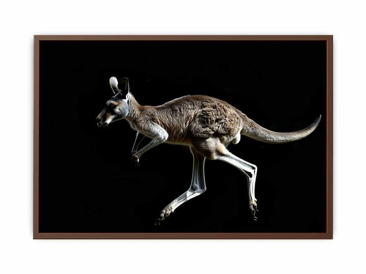 Kangaroo Painting