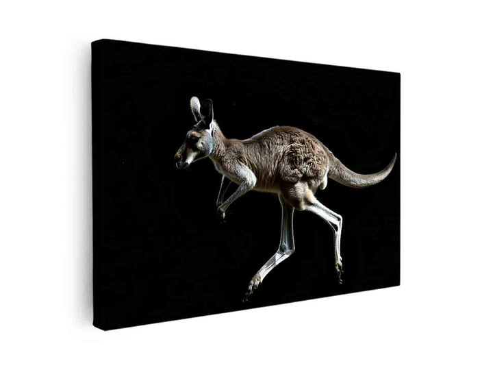 Kangaroo canvas Print