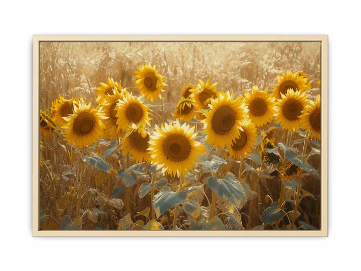 Summer Sunflower Framed Print