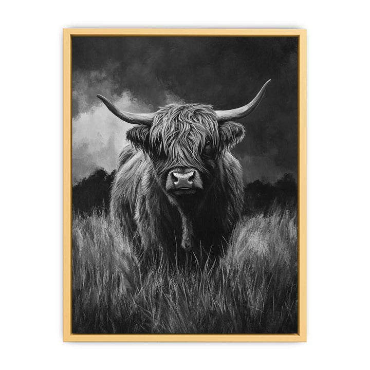  Highlind Cow In Black And White Canvas Painting 