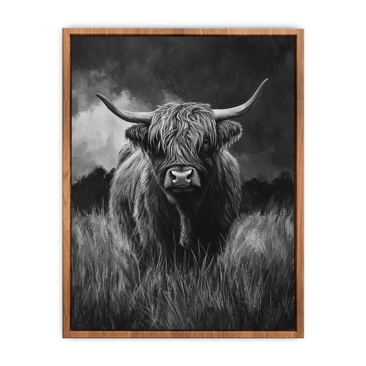  Highlind Cow In Black And White Canvas Painting 