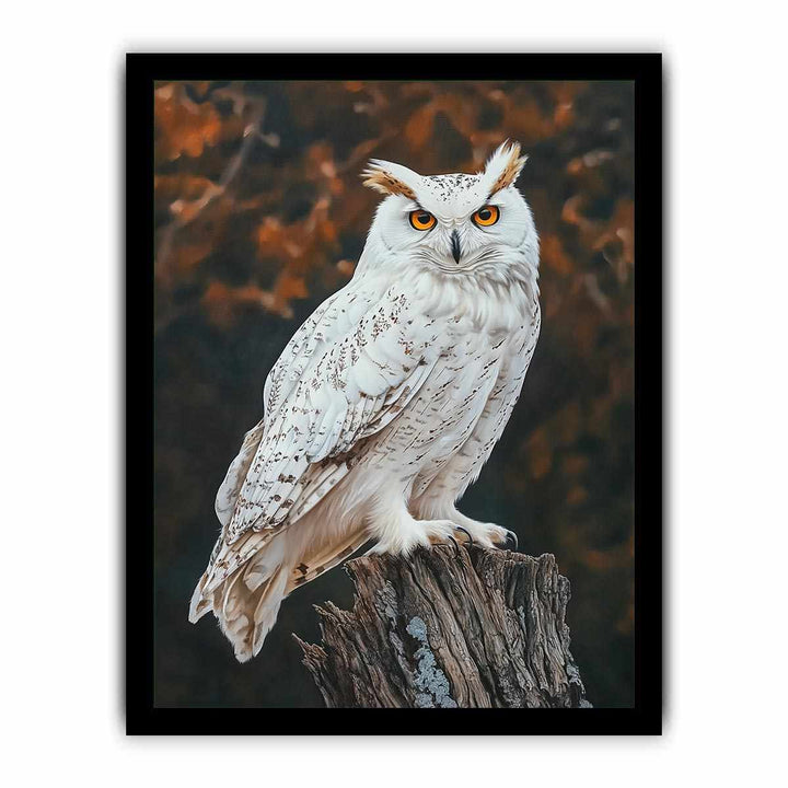 Sonwy Owl Canvas Painting 