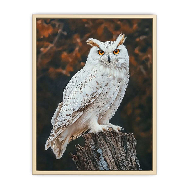 Sonwy Owl Canvas Painting 