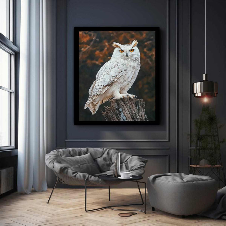 Sonwy Owl Canvas Painting 