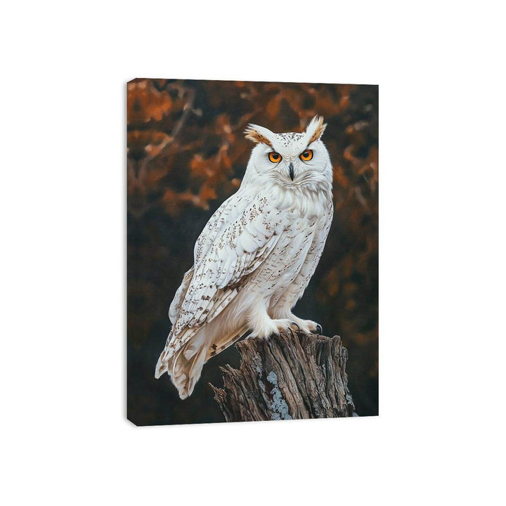 Sonwy Owl Canvas Painting 