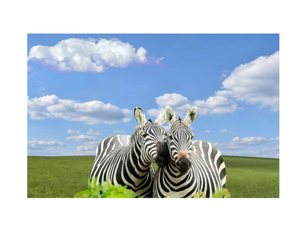 Black White Zebra Painting