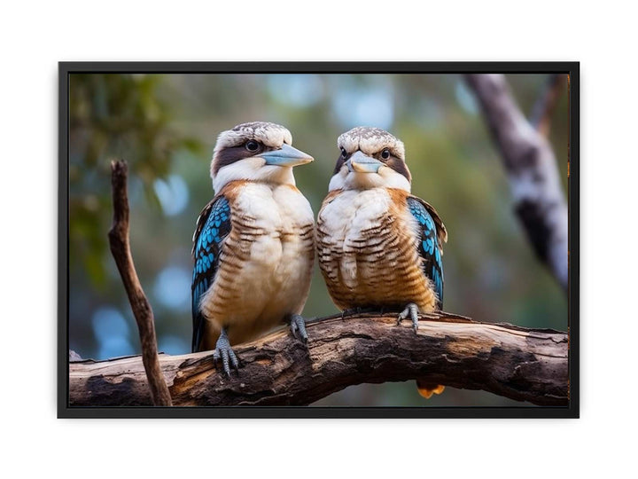 Laughing Kookaburra Pair   canvas Print