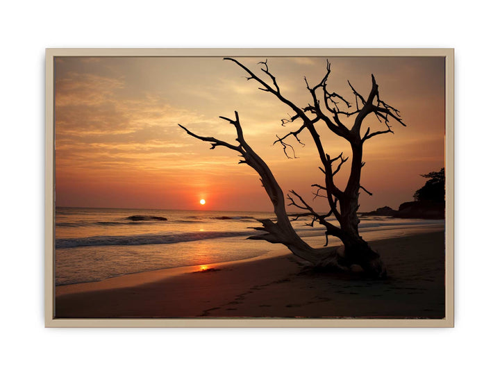 Botany Bay Australia Sunset Art  framed Print