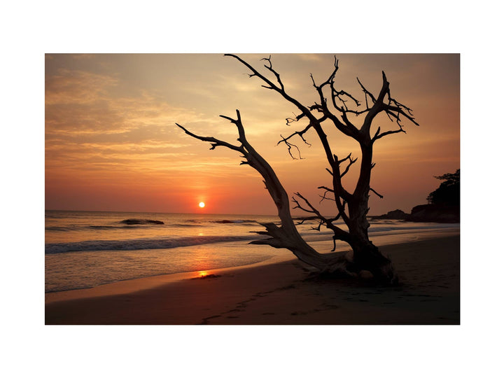 Botany Bay Australia Sunset Art 