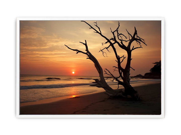 Botany Bay Australia Sunset Art   Painting