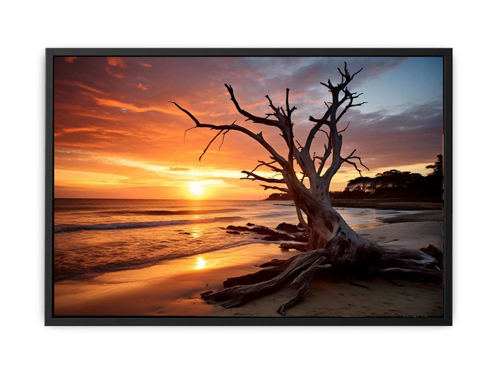 Botany Bay Australia Painting  canvas Print