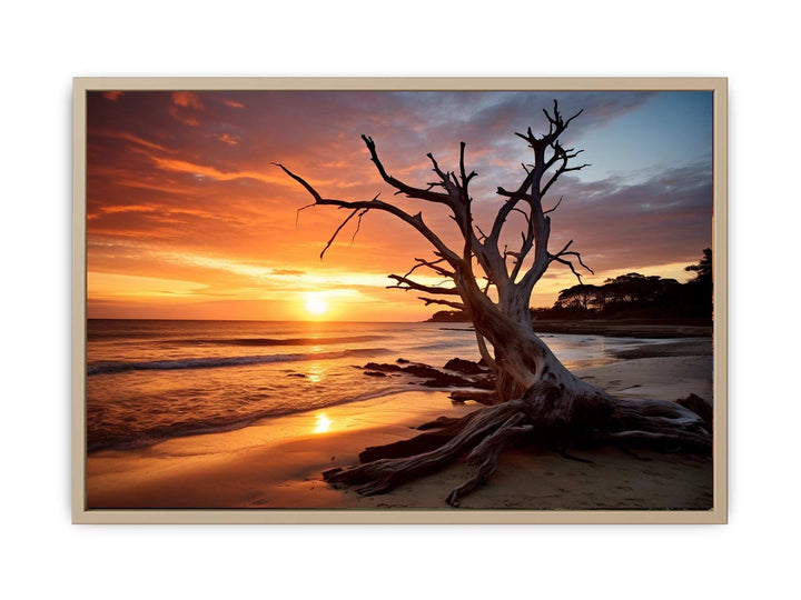 Botany Bay Australia Painting framed Print