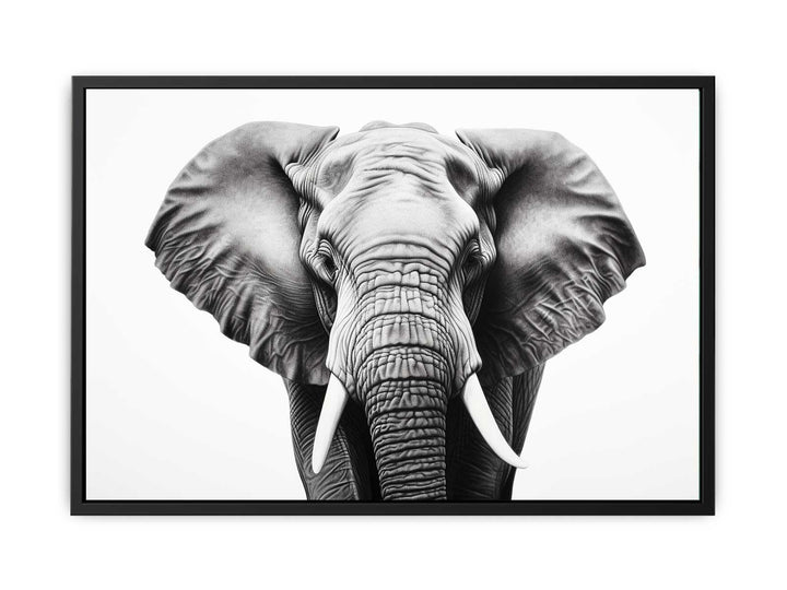 Elephant White And Black Art  canvas Print