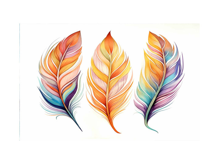 Rainbow Feathers