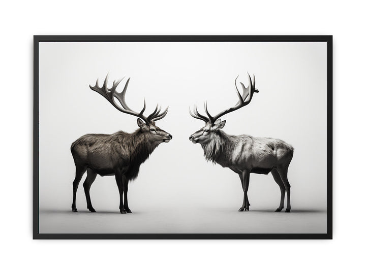 Eye To Eye Stags  canvas Print