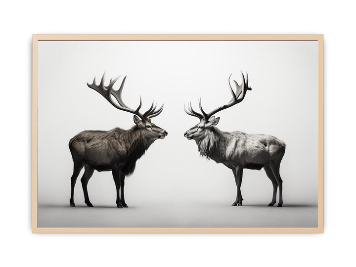 Eye To Eye Stags framed Print