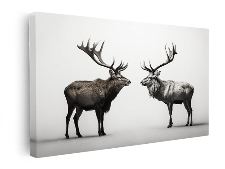 Eye To Eye Stags  canvas Print