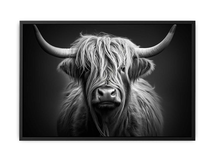 Black And White Highland Cow   canvas Print