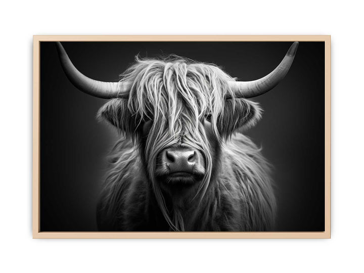 Black And White Highland Cow  framed Print