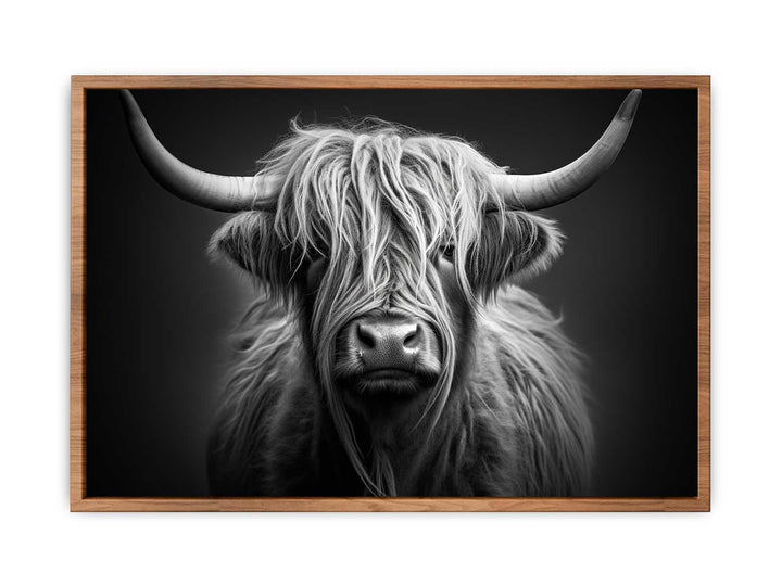 Black And White Highland Cow   Painting