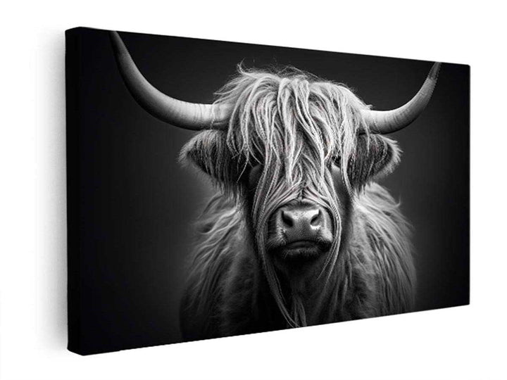 Black And White Highland Cow   canvas Print