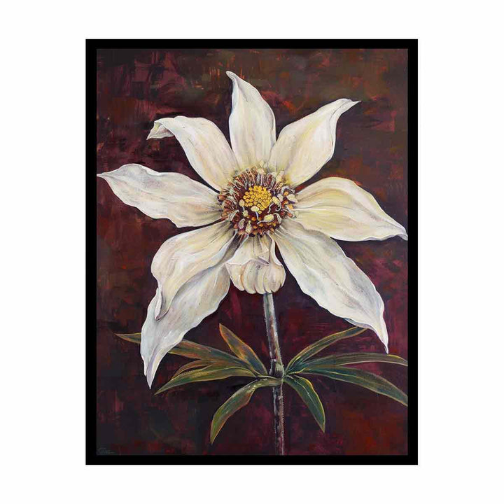 Flannel Flower  Painting