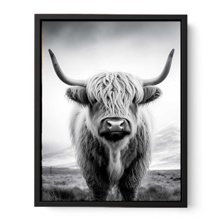 Highland Cow Painting  canvas Print