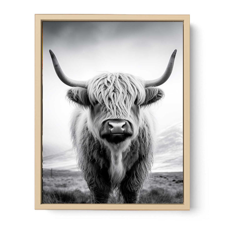 Highland Cow Painting framed Print