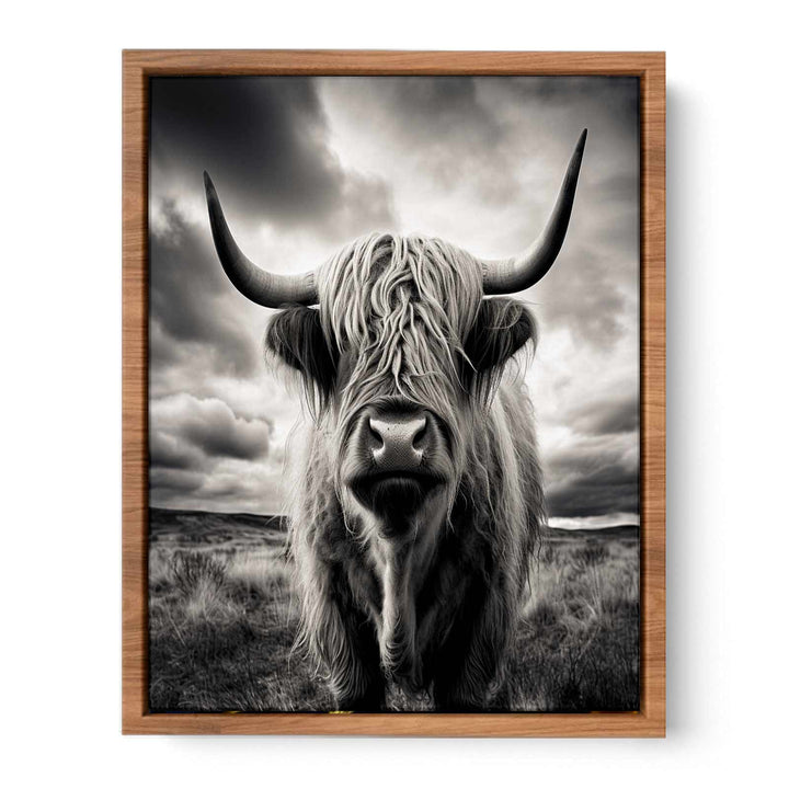 Highland  Cow Painting BW  