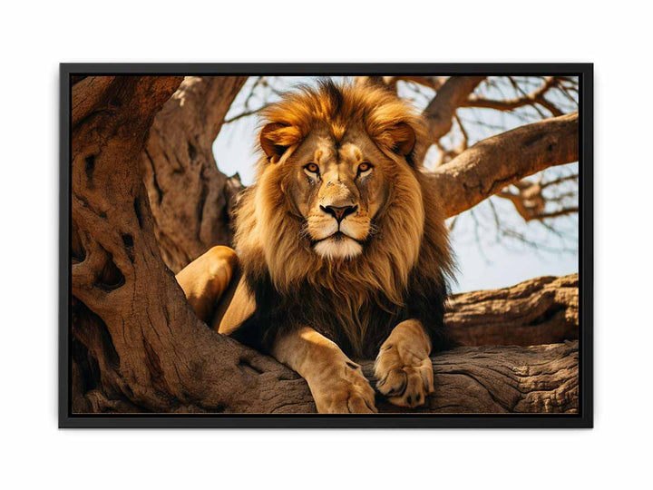 Lion Art  canvas Print