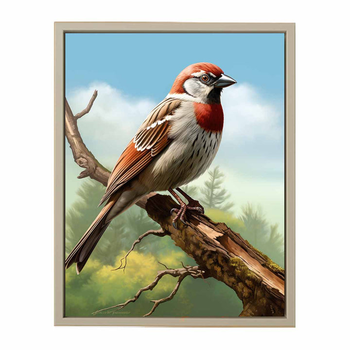 Sparrow Art framed Print