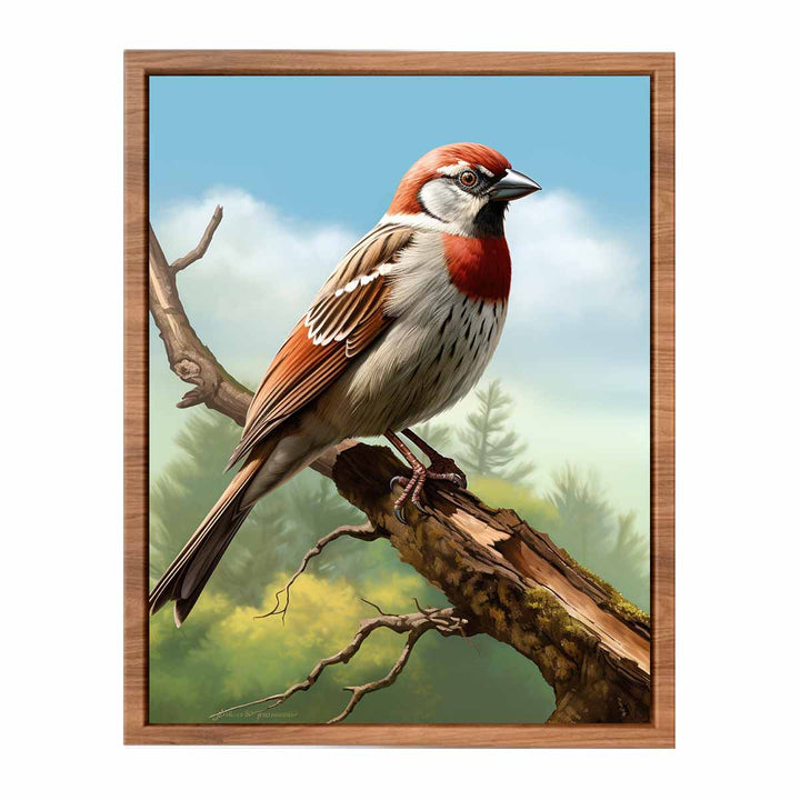 Sparrow Art  Painting