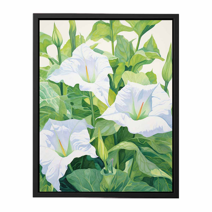 Jimson Weed Painting  canvas Print