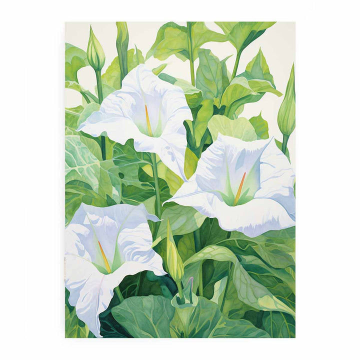 Jimson Weed Painting