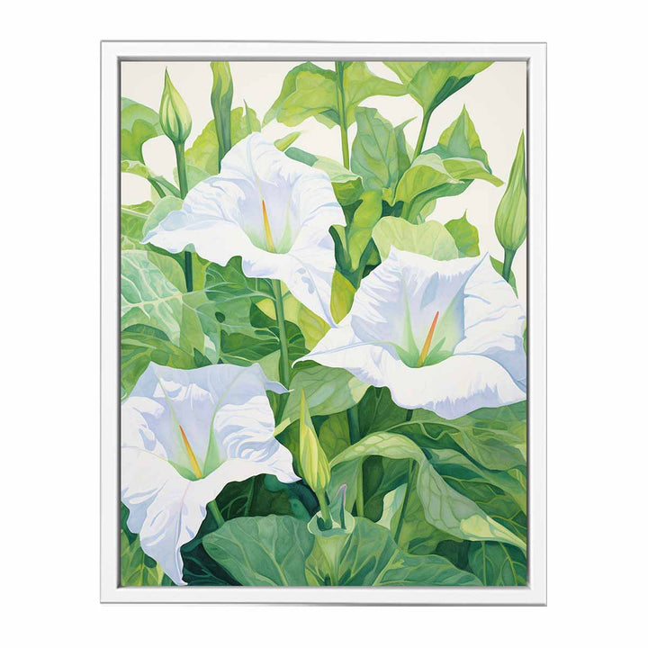 Jimson Weed Painting  