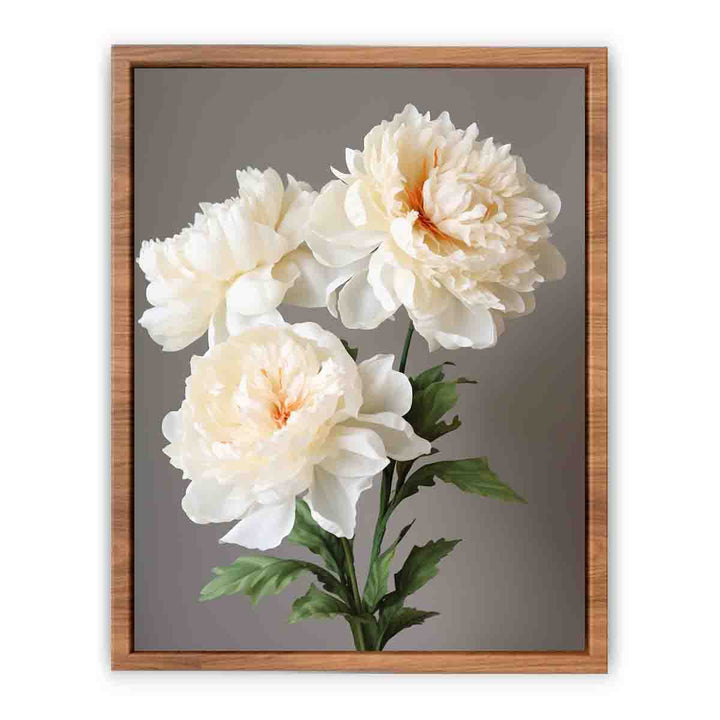 Beautiful White Coral Peony Plant  Painting