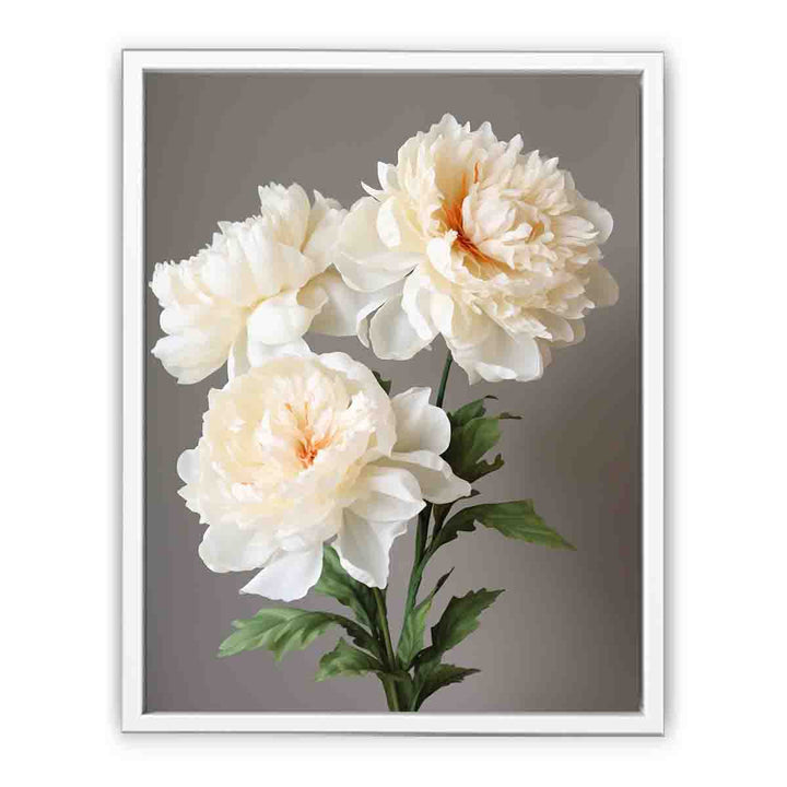 Beautiful White Coral Peony Plant  Painting