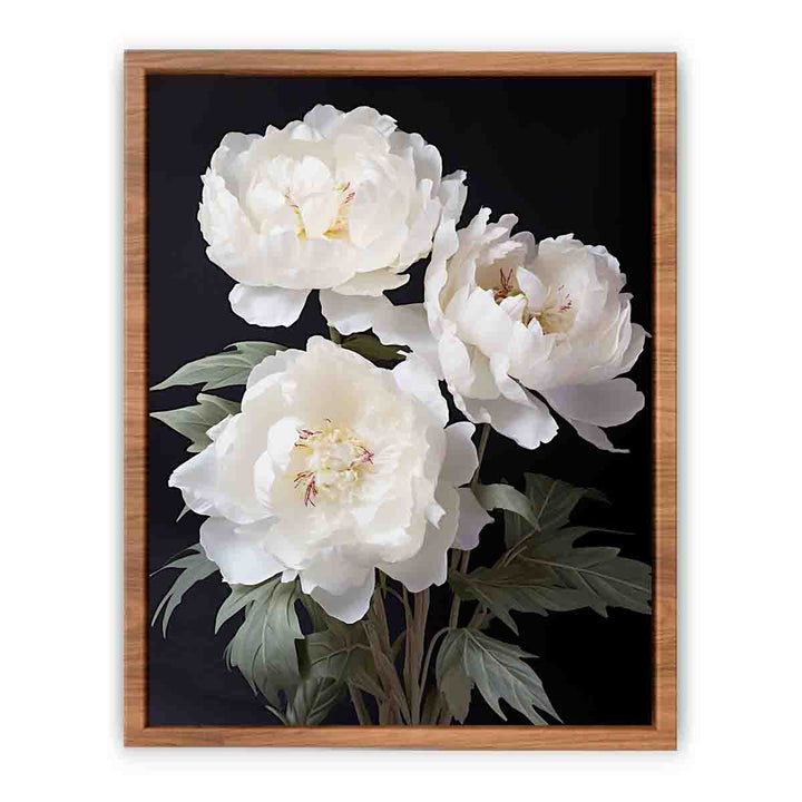 White Coral Peony Flower Art  Painting