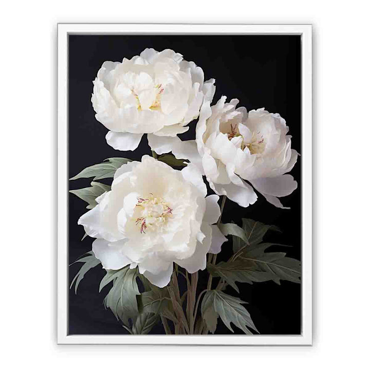 White Coral Peony Flower Art  Painting