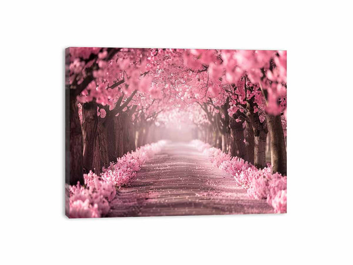 Cherry Blossom Path Canvas Print