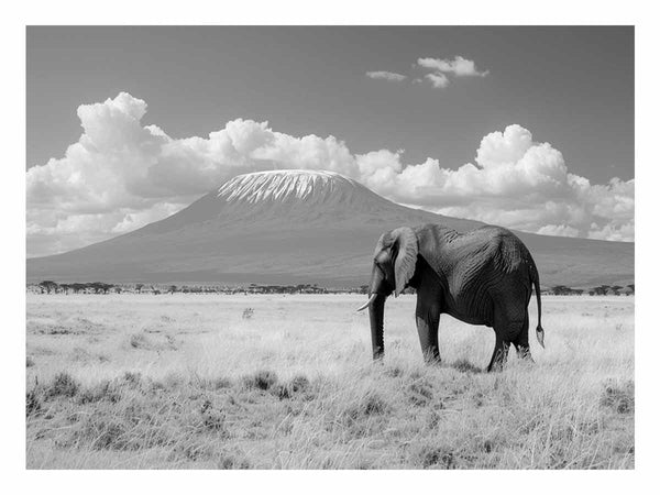 Lonely Elephant 