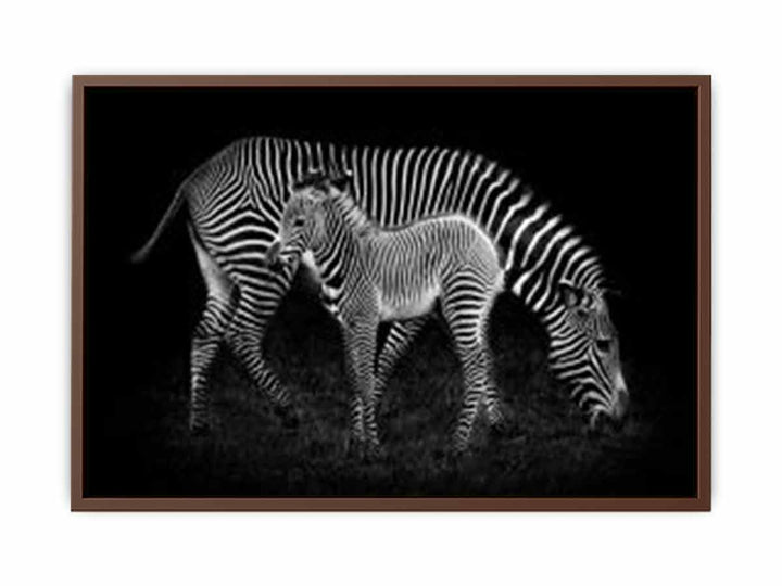 Mum & baby Zebra  Poster