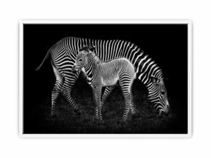 Mum & baby Zebra Framed Print