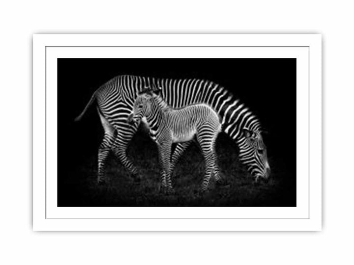 Mum & baby Zebra Streched canvas