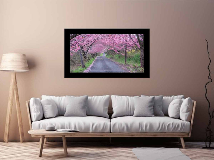 Cherry Blossom Path 