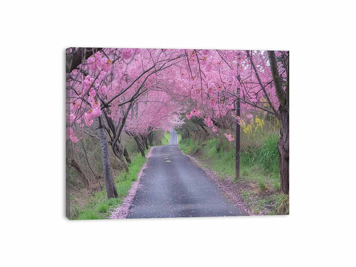 Cherry Blossom Path Canvas Print